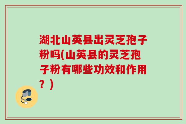 湖北山英县出灵芝孢子粉吗(山英县的灵芝孢子粉有哪些功效和作用?)