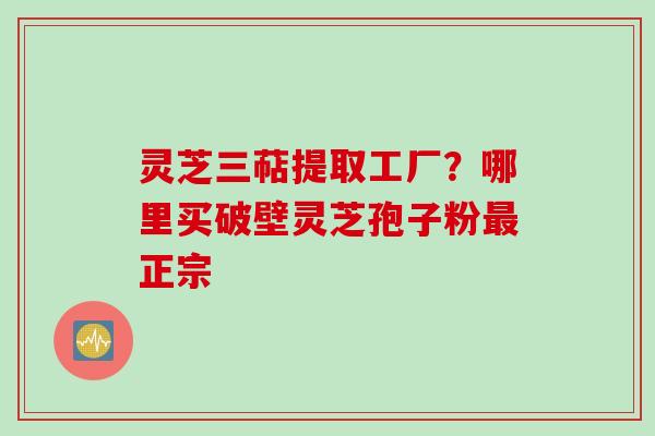 灵芝三萜提取工厂?哪里买破壁灵芝孢子粉最正宗