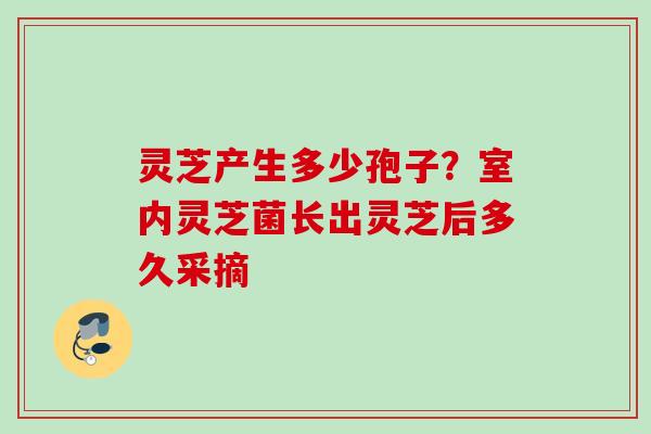 灵芝产生多少孢子？室内灵芝菌长出灵芝后多久采摘