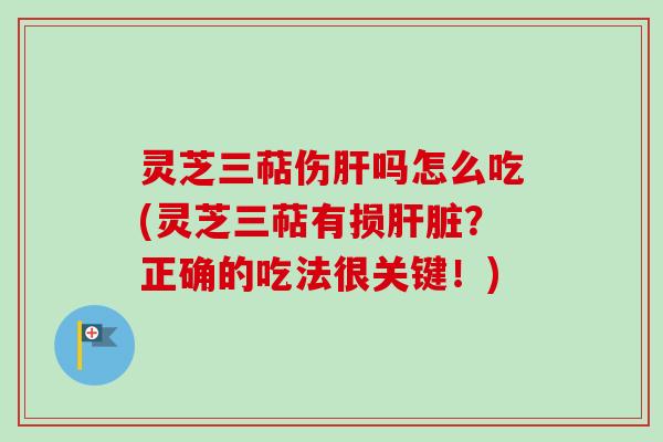 灵芝三萜伤肝吗怎么吃(灵芝三萜有损肝脏？正确的吃法很关键！)