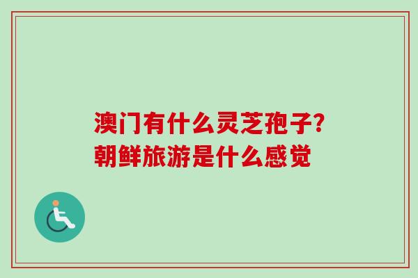 澳门有什么灵芝孢子？朝鲜旅游是什么感觉