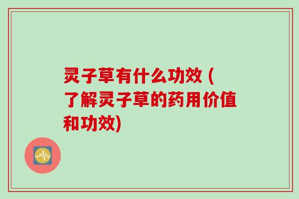 灵子草有什么功效 (了解灵子草的药用价值和功效)