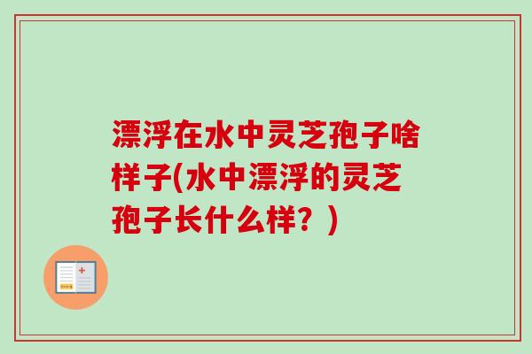 漂浮在水中灵芝孢子啥样子(水中漂浮的灵芝孢子长什么样？)