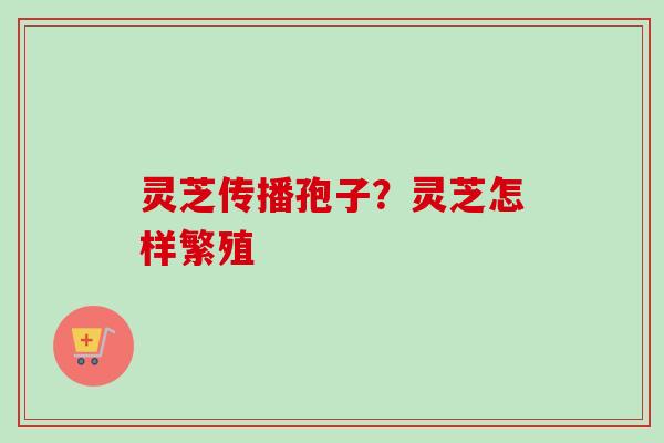 灵芝传播孢子?灵芝怎样繁殖