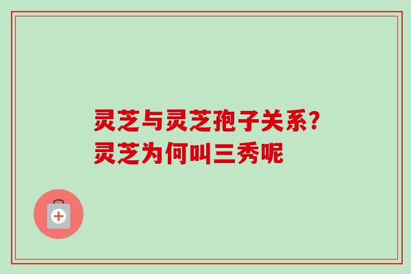灵芝与灵芝孢子关系？灵芝为何叫三秀呢