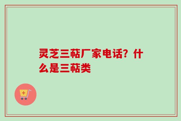 灵芝三萜厂家电话？什么是三萜类