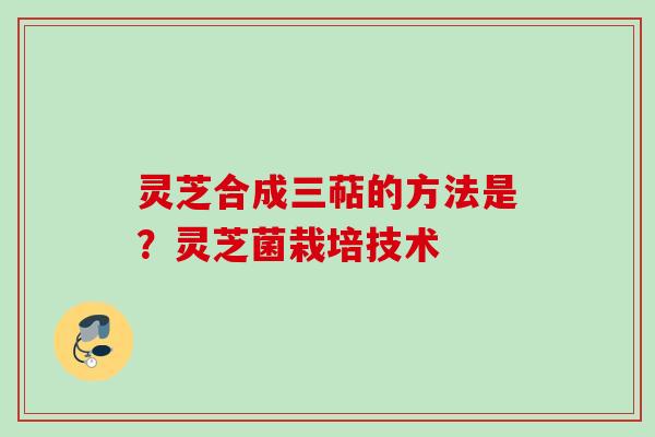 灵芝合成三萜的方法是?灵芝菌栽培技术 灵芝合成三萜的方法是?灵芝菌栽培技术
