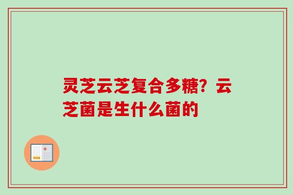 灵芝云芝复合多糖？云芝菌是生什么菌的