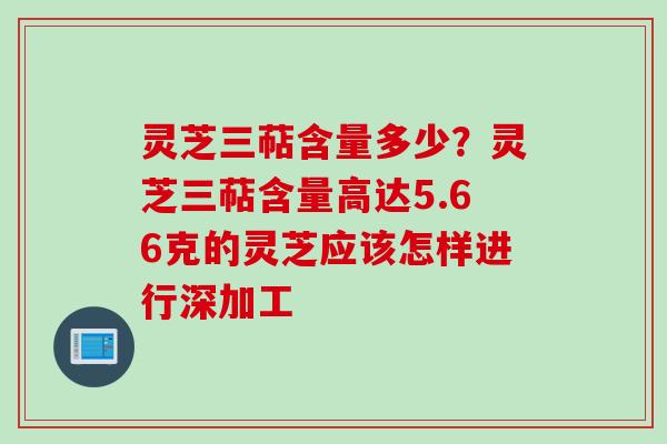 灵芝三萜含量多少？灵芝三萜含量高达5.66克的灵芝应该怎样进行深加工