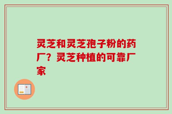 灵芝和灵芝孢子粉的药厂?灵芝种植的可靠厂家 灵芝和灵芝孢子粉的药厂?灵芝种植的可靠厂家