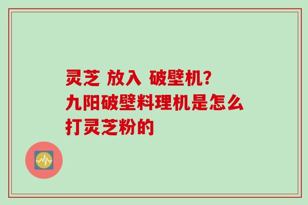 灵芝 放入 破壁机？九阳破壁料理机是怎么打灵芝粉的