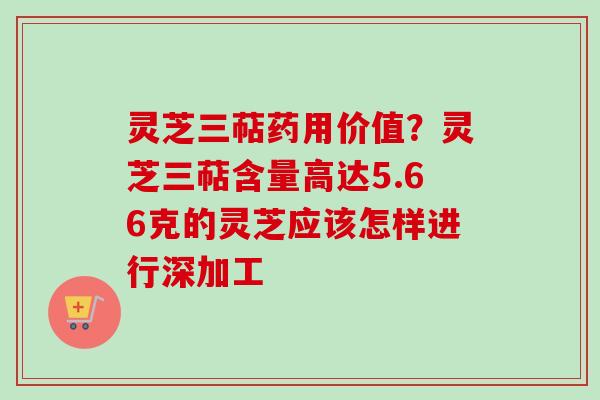 灵芝三萜药用价值？灵芝三萜含量高达5.66克的灵芝应该怎样进行深加工