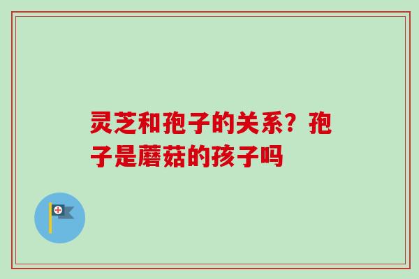 灵芝和孢子的关系？孢子是蘑菇的孩子吗