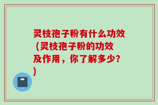 灵枝孢子粉有什么功效 (灵枝孢子粉的功效及作用，你了解多少？)