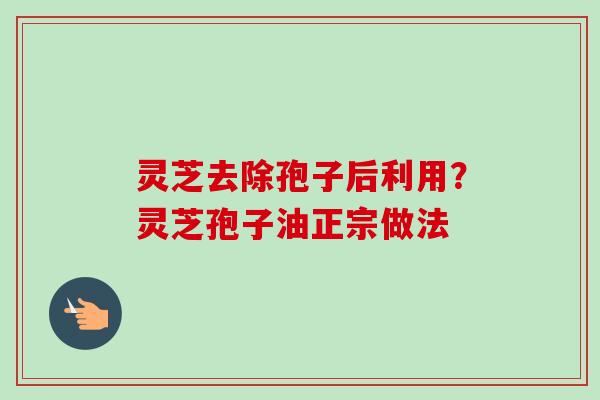灵芝去除孢子后利用？灵芝孢子油正宗做法