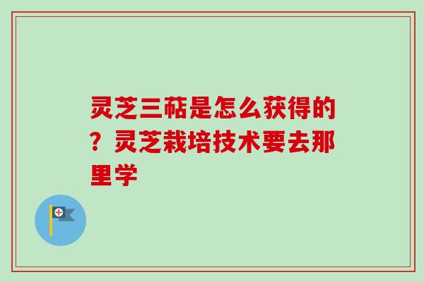 灵芝三萜是怎么获得的?灵芝栽培技术要去那里学