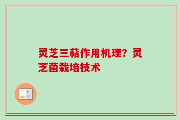 灵芝三萜作用机理？灵芝菌栽培技术