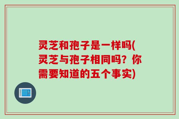 灵芝和孢子是一样吗(灵芝与孢子相同吗？你需要知道的五个事实)