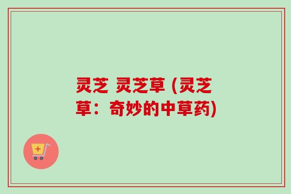 灵芝 灵芝草 (灵芝草：奇妙的中草药)