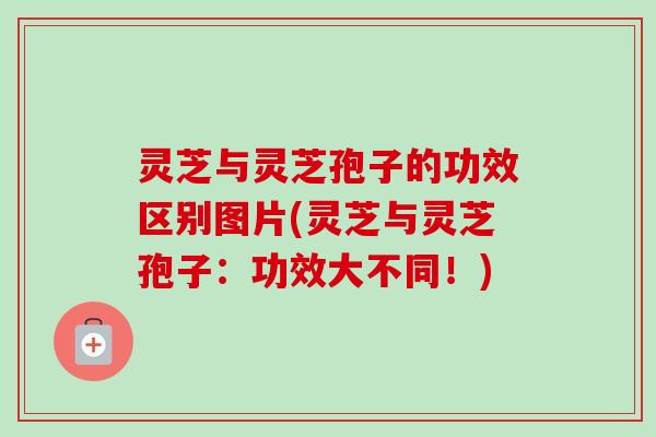 灵芝与灵芝孢子的功效区别图片(灵芝与灵芝孢子：功效大不同！)