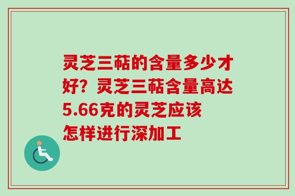 灵芝三萜的含量多少才好？灵芝三萜含量高达5.66克的灵芝应该怎样进行深加工