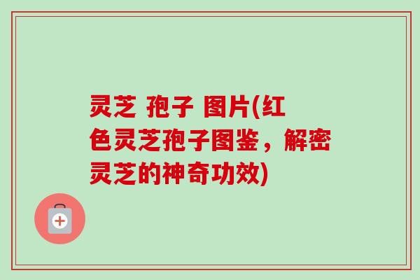 灵芝 孢子 图片(红色灵芝孢子图鉴,解密灵芝的神奇功效)