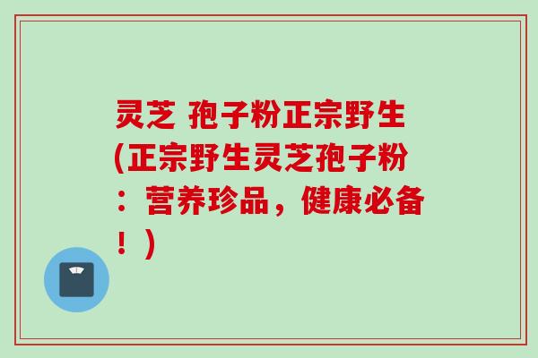 灵芝 孢子粉正宗野生(正宗野生灵芝孢子粉:营养珍品,健康必备!)