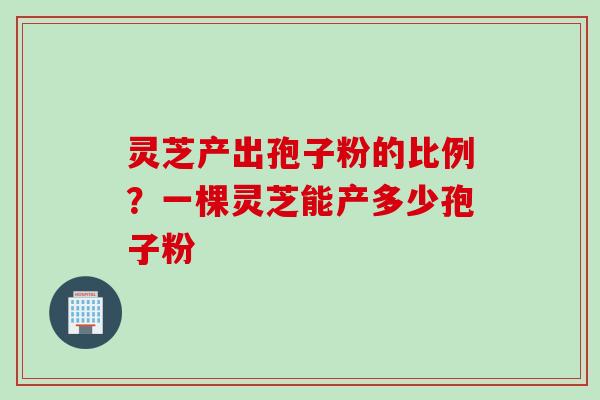 灵芝产出孢子粉的比例?一棵灵芝能产多少孢子粉
