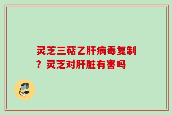 灵芝三萜乙肝病毒复制？灵芝对肝脏有害吗