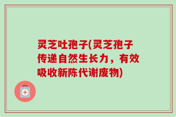 灵芝吐孢子(灵芝孢子传递自然生长力，有效吸收新陈代谢废物)