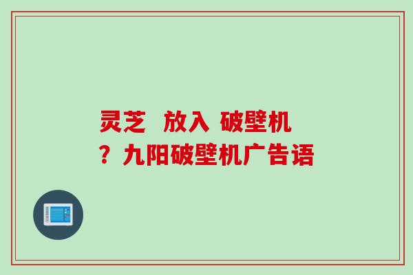 灵芝  放入 破壁机？九阳破壁机广告语