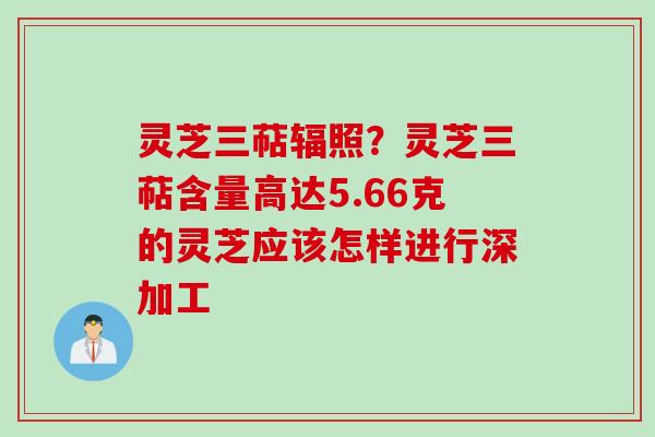 灵芝三萜辐照？灵芝三萜含量高达5.66克的灵芝应该怎样进行深加工