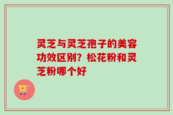 灵芝与灵芝孢子的美容功效区别?松花粉和灵芝粉哪个好