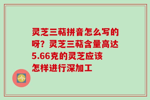 灵芝三萜拼音怎么写的呀？灵芝三萜含量高达5.66克的灵芝应该怎样进行深加工