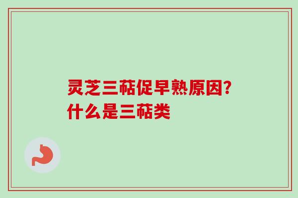 灵芝三萜促早熟原因？什么是三萜类