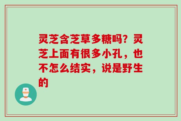 灵芝含芝草多糖吗？灵芝上面有很多小孔，也不怎么结实，说是野生的