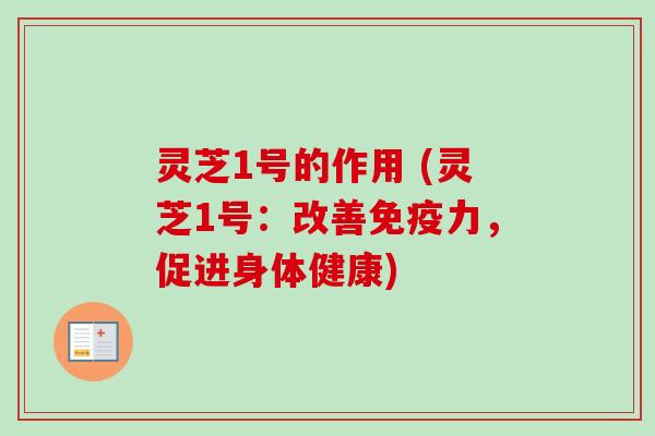 灵芝1号的作用 (灵芝1号：改善免疫力，促进身体健康)
