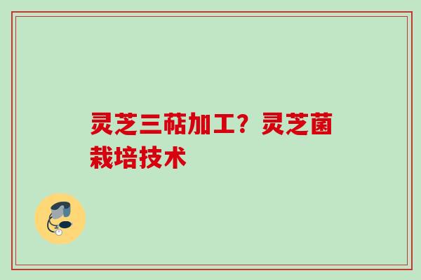 灵芝三萜加工?灵芝菌栽培技术