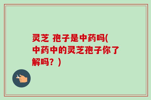 灵芝 孢子是中药吗(中药中的灵芝孢子你了解吗？)