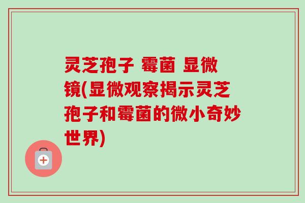 灵芝孢子 霉菌 显微镜(显微观察揭示灵芝孢子和霉菌的微小奇妙世界)