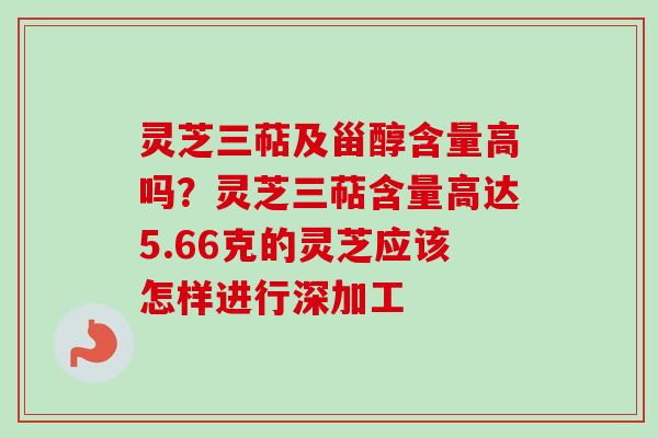 灵芝三萜及甾醇含量高吗？灵芝三萜含量高达5.66克的灵芝应该怎样进行深加工
