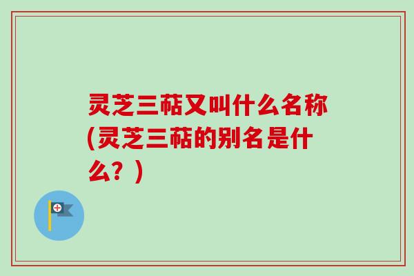 灵芝三萜又叫什么名称(灵芝三萜的别名是什么?) 灵芝三萜又叫什么名称(灵芝三萜的别名是什么?)