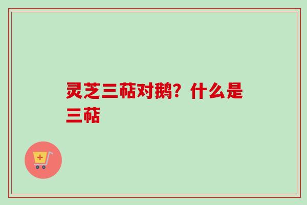 灵芝三萜对鹅?什么是三萜