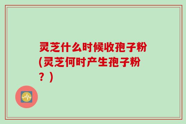 灵芝什么时候收孢子粉(灵芝何时产生孢子粉？)