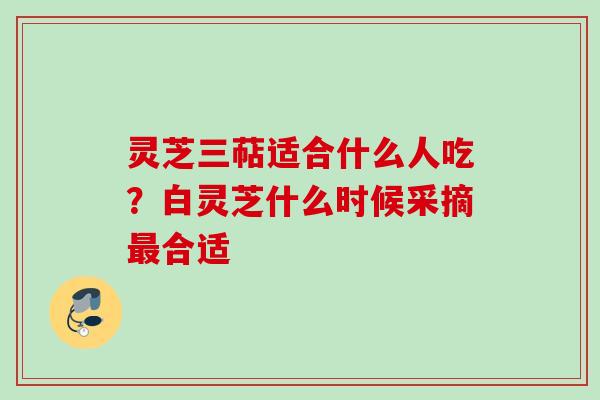 灵芝三萜适合什么人吃?白灵芝什么时候采摘最合适