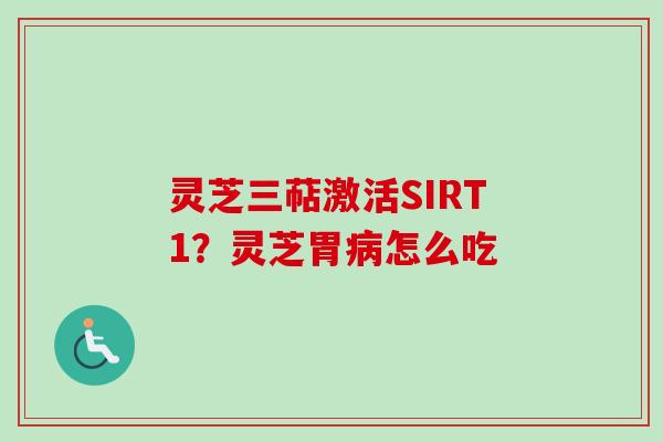 灵芝三萜激活SIRT1？灵芝胃病怎么吃