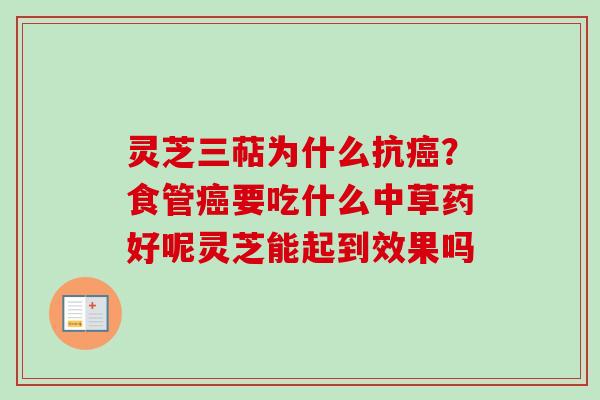 灵芝三萜为什么抗癌?食管癌要吃什么中草药好呢灵芝能起到效果吗
