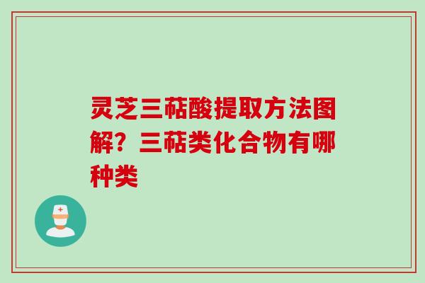 灵芝三萜酸提取方法图解？三萜类化合物有哪种类
