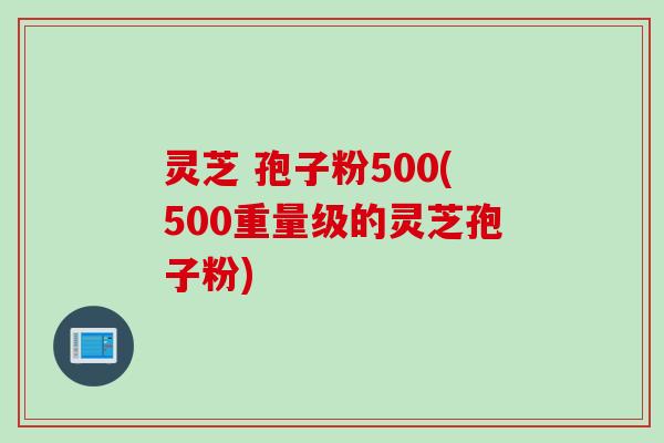 灵芝 孢子粉500(500重量级的灵芝孢子粉)