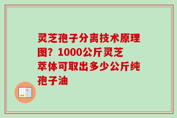 灵芝孢子分离技术原理图?1000公斤灵芝萃体可取出多少公斤纯孢子油